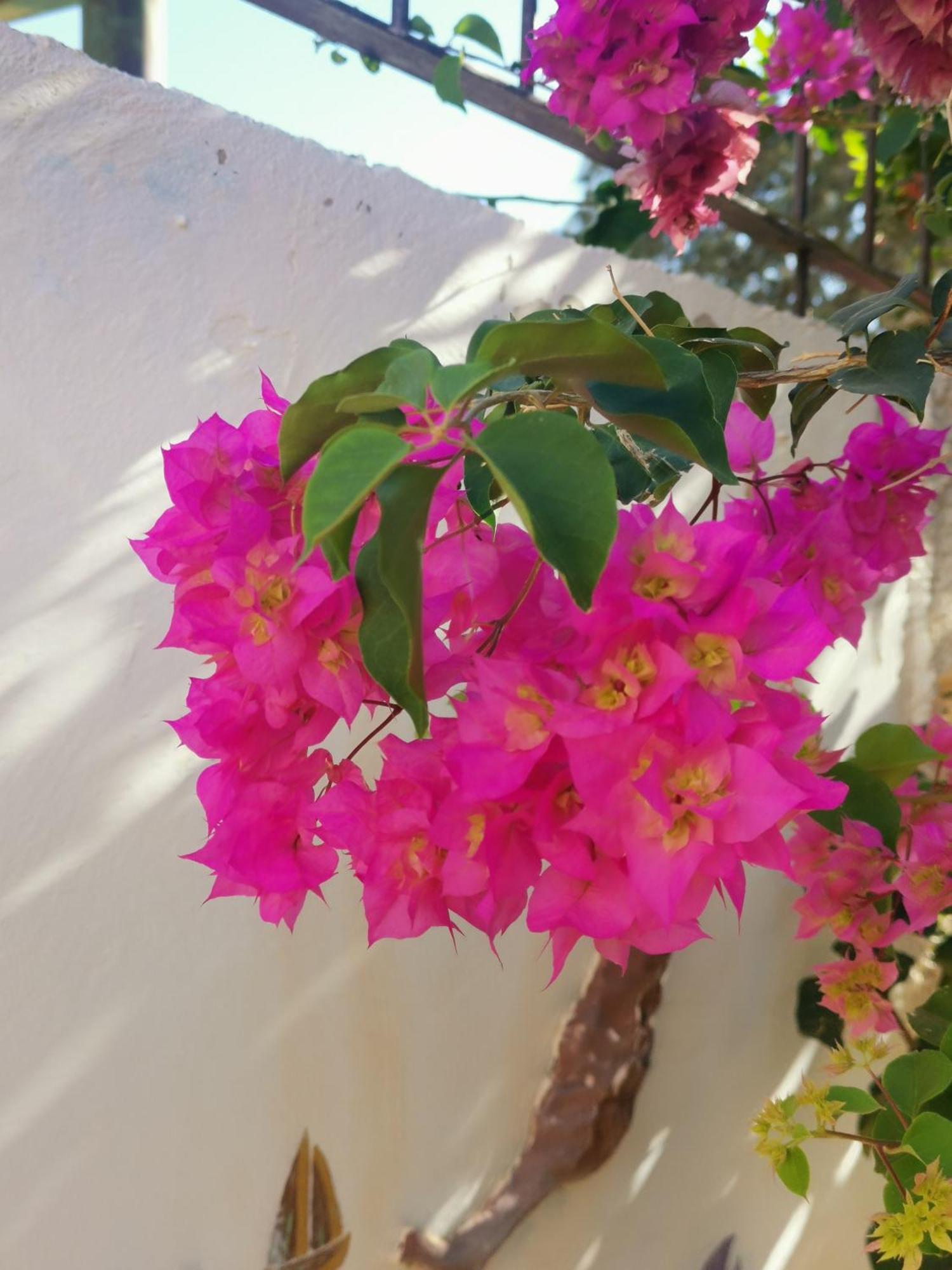 Eden Guesthouse Sardina 外观 照片
