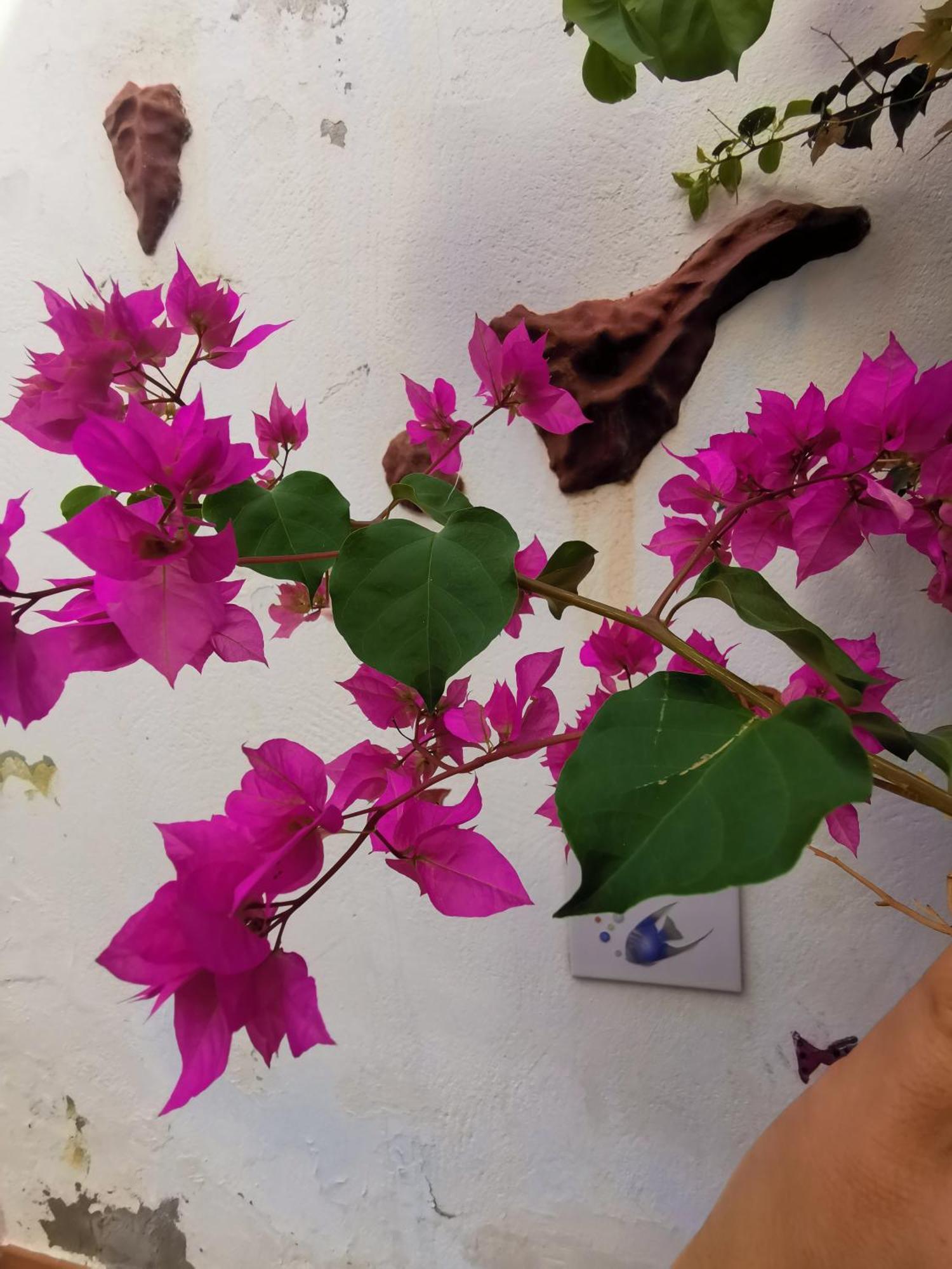 Eden Guesthouse Sardina 外观 照片