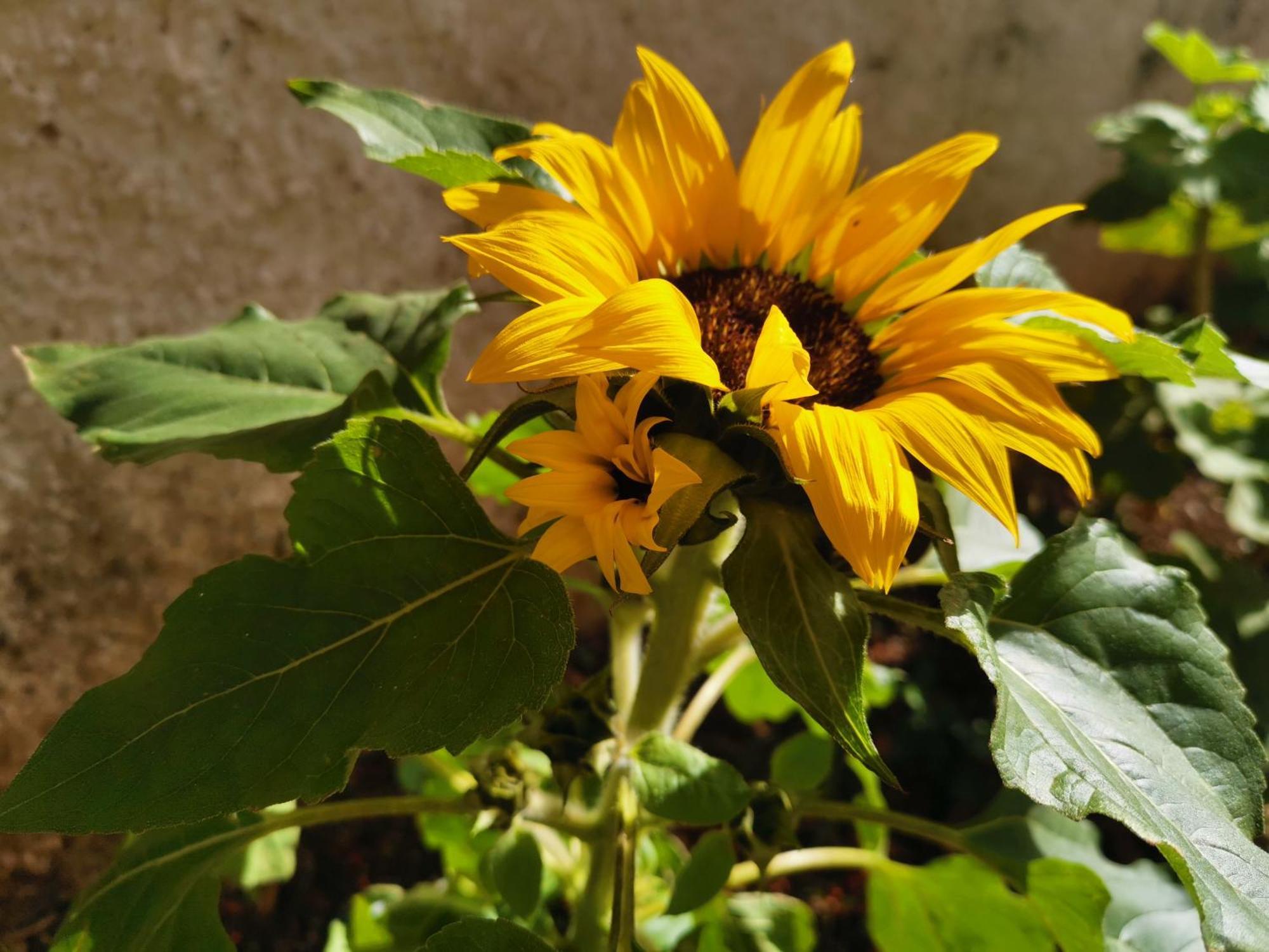 Eden Guesthouse Sardina 外观 照片