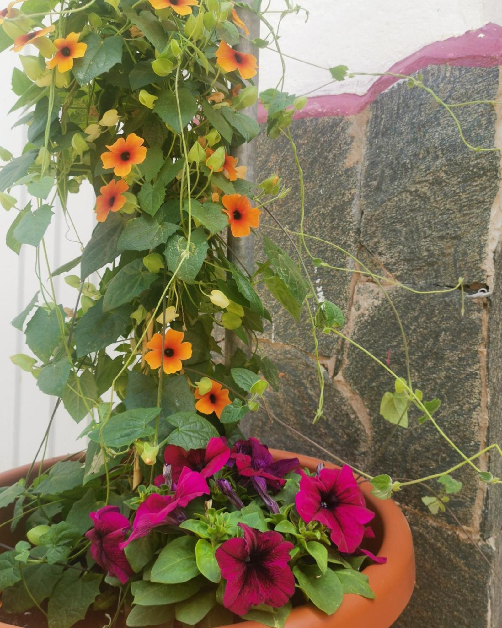 Eden Guesthouse Sardina 外观 照片